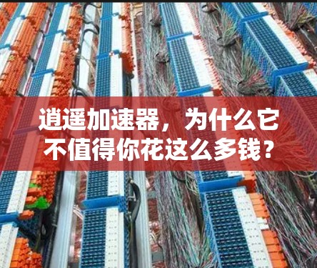 逍遥加速器,为什么它不值得你花这么多钱? 逍遥加速器,为什么它不值得你花这么多钱?