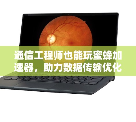 通信工程师也能玩蜜蜂加速器,助力数据传输优化 通信工程师也能玩蜜蜂加速器,助力数据传输优化