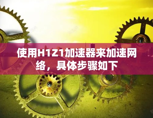 使用H1Z1加速器来加速网络，具体步骤如下