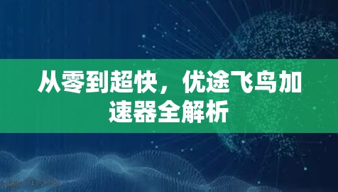 从零到超快，优途飞鸟加速器全解析
