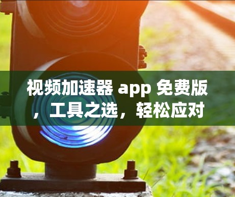视频加速器 app 免费版，工具之选，轻松应对海量视频