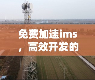 免费加速ims，高效开发的终极选择