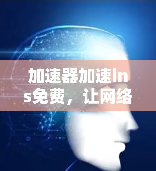 加速器加速ins免费，让网络连接更顺畅的解决方案