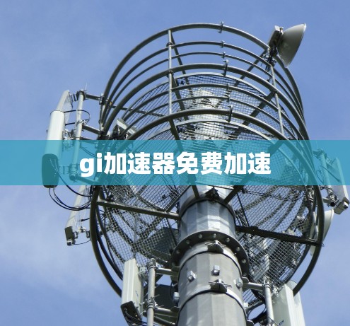 gi加速器免费加速 gi加速器免费加速