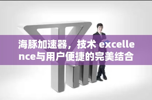 海豚加速器，技术 excellence与用户便捷的完美结合