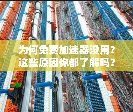 为何免费加速器没用？这些原因你都了解吗？