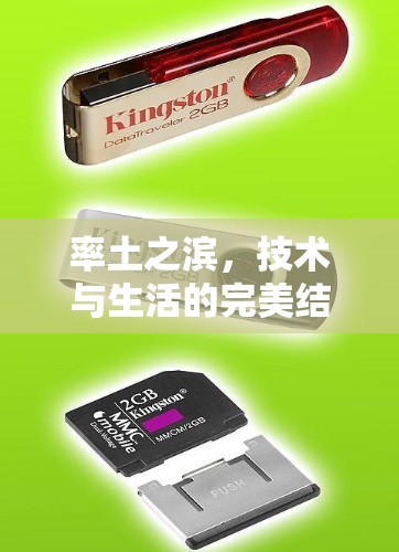 率土之滨,技术与生活的完美结合 率土之滨,技术与生活的完美结合