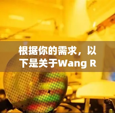 根据你的需求，以下是关于Wang Rui加速器的建议