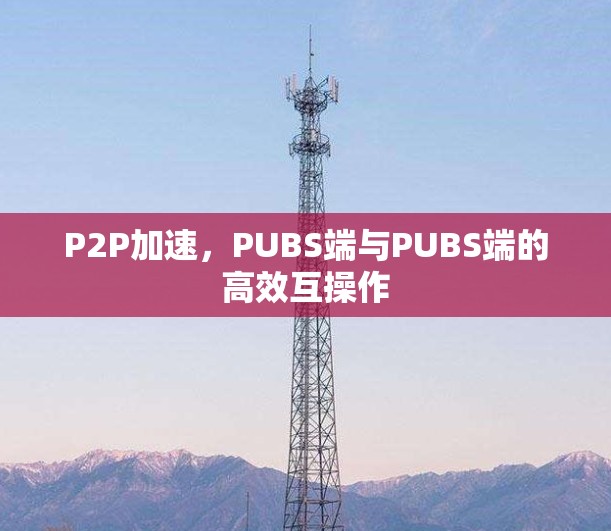 P2P加速,PUBS端与PUBS端的高效互操作 P2P加速,PUBS端与PUBS端的高效互操作