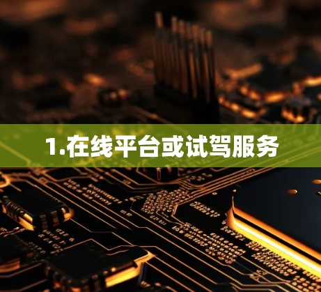 1.在线平台或试驾服务 1.在线平台或试驾服务