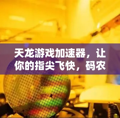 天龙游戏加速器，让你的指尖飞快，码农必备