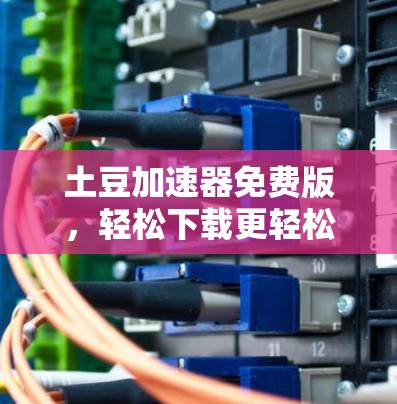 土豆加速器免费版,轻松下载更轻松 土豆加速器免费版,轻松下载更轻松