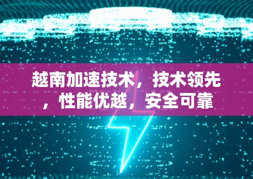 越南加速技术，技术领先，性能优越，安全可靠