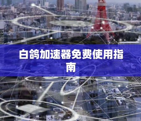 白鸽加速器免费使用指南