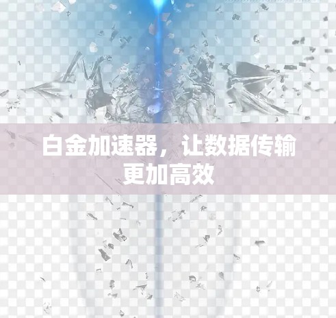 白金加速器,让数据传输更加高效 白金加速器,让数据传输更加高效