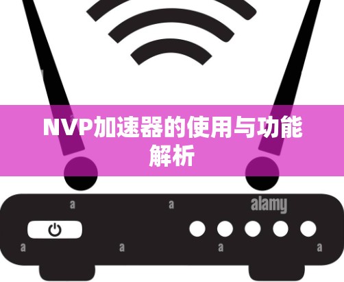 NVP加速器的使用与功能解析 NVP加速器的使用与功能解析
