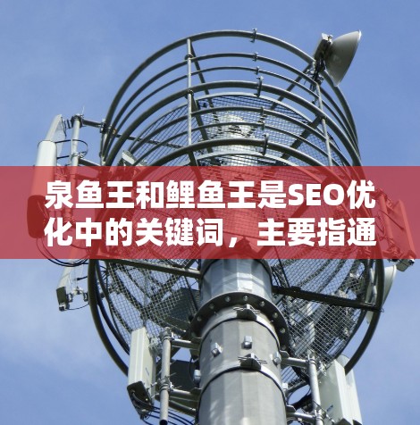 泉鱼王和鲤鱼王是SEO优化中的关键词,主要指通过设置关键词来提高网站排名的关键词。以下是对这两个关键词的详细分析 泉鱼王和鲤鱼王是SEO优化中的关键词,主要指通过设置关键词来提高网站排名的关键词。以下是对这两个关键词的详细分析