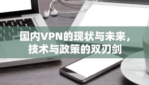 国内VPN的现状与未来,技术与政策的双刃剑 国内VPN的现状与未来,技术与政策的双刃剑