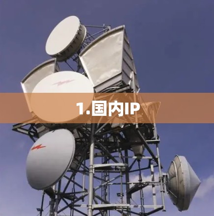 1.国内IP 1.国内IP