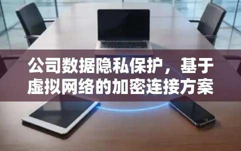 公司数据隐私保护，基于虚拟网络的加密连接方案