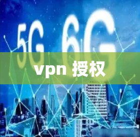 vpn 授权 vpn 授权
