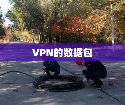 VPN的数据包 VPN的数据包