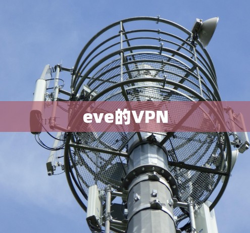 eve的VPN eve的VPN