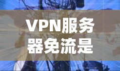 VPN服务器免流是指一些VPN服务提供了一个低延迟的连接,让用户不需要频繁的流量或等待时间。这种设计旨在提供一个快速且稳定的连接,适用于需要高带宽和实时性需求的用户 VPN服务器免流是指一些VPN服务提供了一个低延迟的连接,让用户不需要频繁的流量或等待时间。这种设计旨在提供一个快速且稳定的连接,适用于需要高带宽和实时性需求的用户