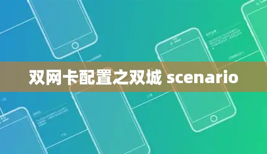 双网卡配置之双城 scenario 双网卡配置之双城 scenario