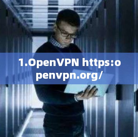 1.OpenVPN https:openvpn.org/ 1.OpenVPN https:openvpn.org/