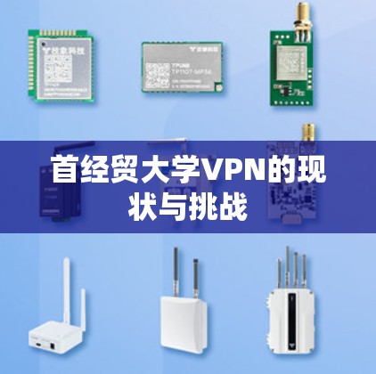 首经贸大学VPN的现状与挑战 首经贸大学VPN的现状与挑战