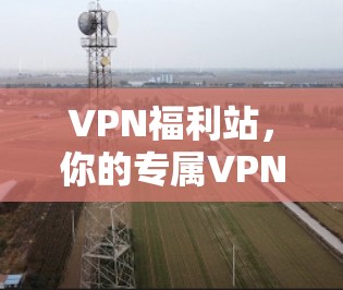 VPN福利站,你的专属VPN专属福利 VPN福利站,你的专属VPN专属福利