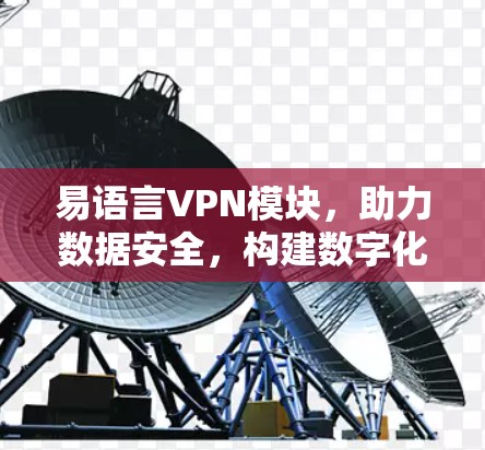 易语言VPN模块,助力数据安全,构建数字化防护体系 易语言VPN模块,助力数据安全,构建数字化防护体系