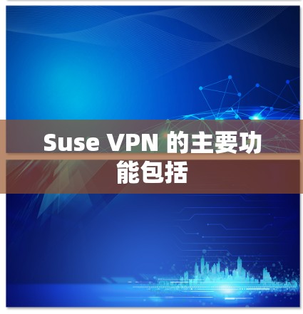 Suse VPN 的主要功能包括