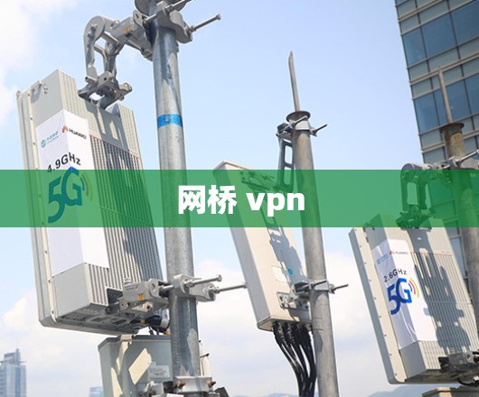 网桥 vpn