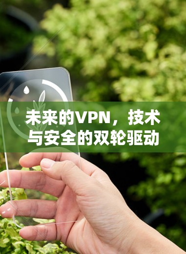 未来的VPN，技术与安全的双轮驱动