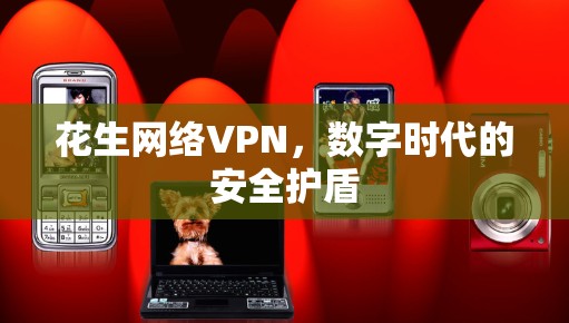 花生网络VPN,数字时代的安全护盾 花生网络VPN,数字时代的安全护盾