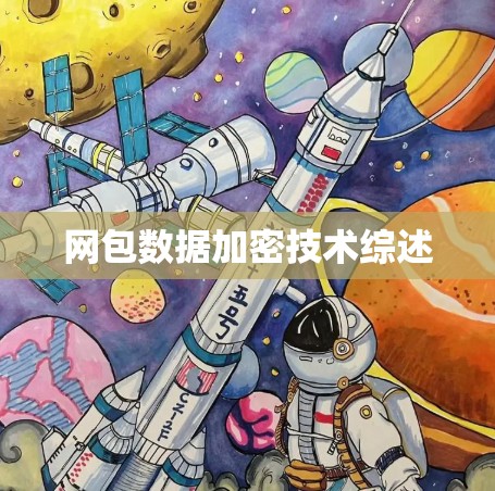 网包数据加密技术综述 网包数据加密技术综述