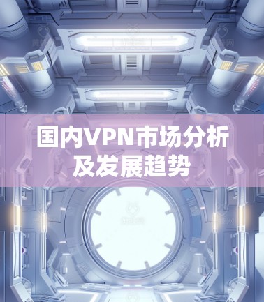 国内VPN市场分析及发展趋势 国内VPN市场分析及发展趋势