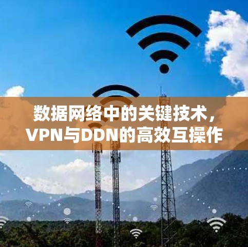 数据网络中的关键技术，VPN与DDN的高效互操作性
