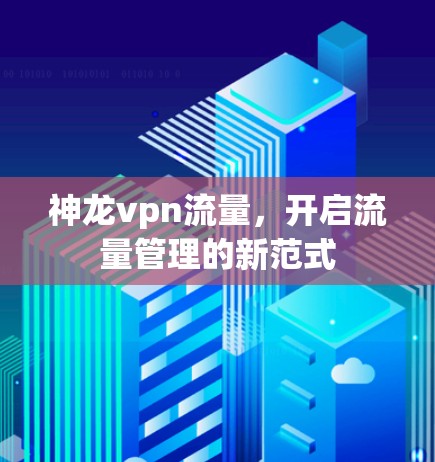 神龙vpn流量，开启流量管理的新范式