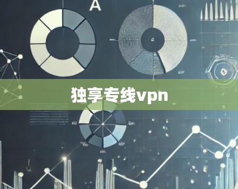 独享专线vpn