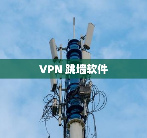 VPN 跳墙软件 VPN 跳墙软件