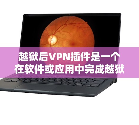 越狱后VPN插件是一个在软件或应用中完成越狱操作后插入或安装的VPN插件。以下是关于该概念的详细分析