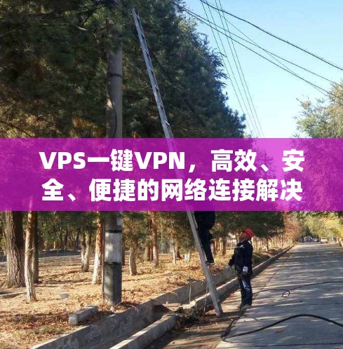 VPS一键VPN，高效、安全、便捷的网络连接解决方案