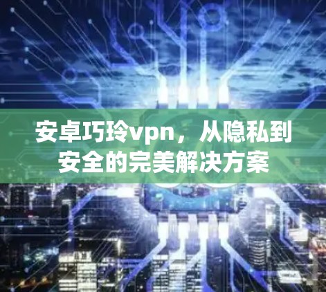 安卓巧玲vpn，从隐私到安全的完美解决方案
