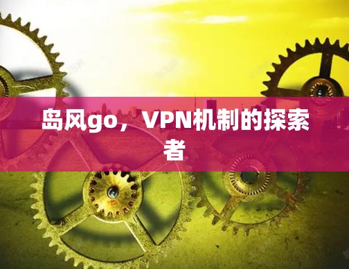 岛风go，VPN机制的探索者