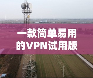 一款简单易用的VPN试用版 一款简单易用的VPN试用版