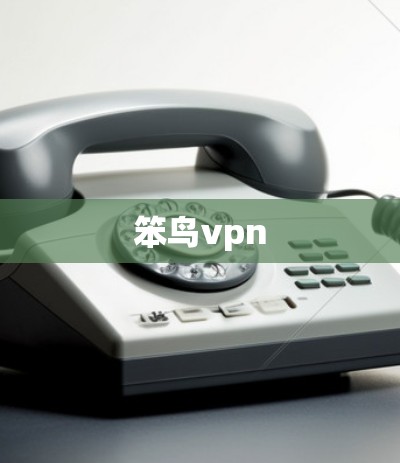 笨鸟vpn 笨鸟vpn