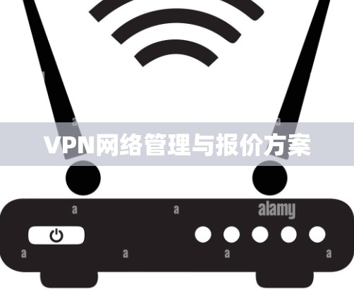 VPN网络管理与报价方案